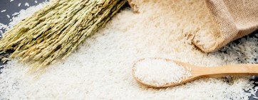 Agro Based Products B